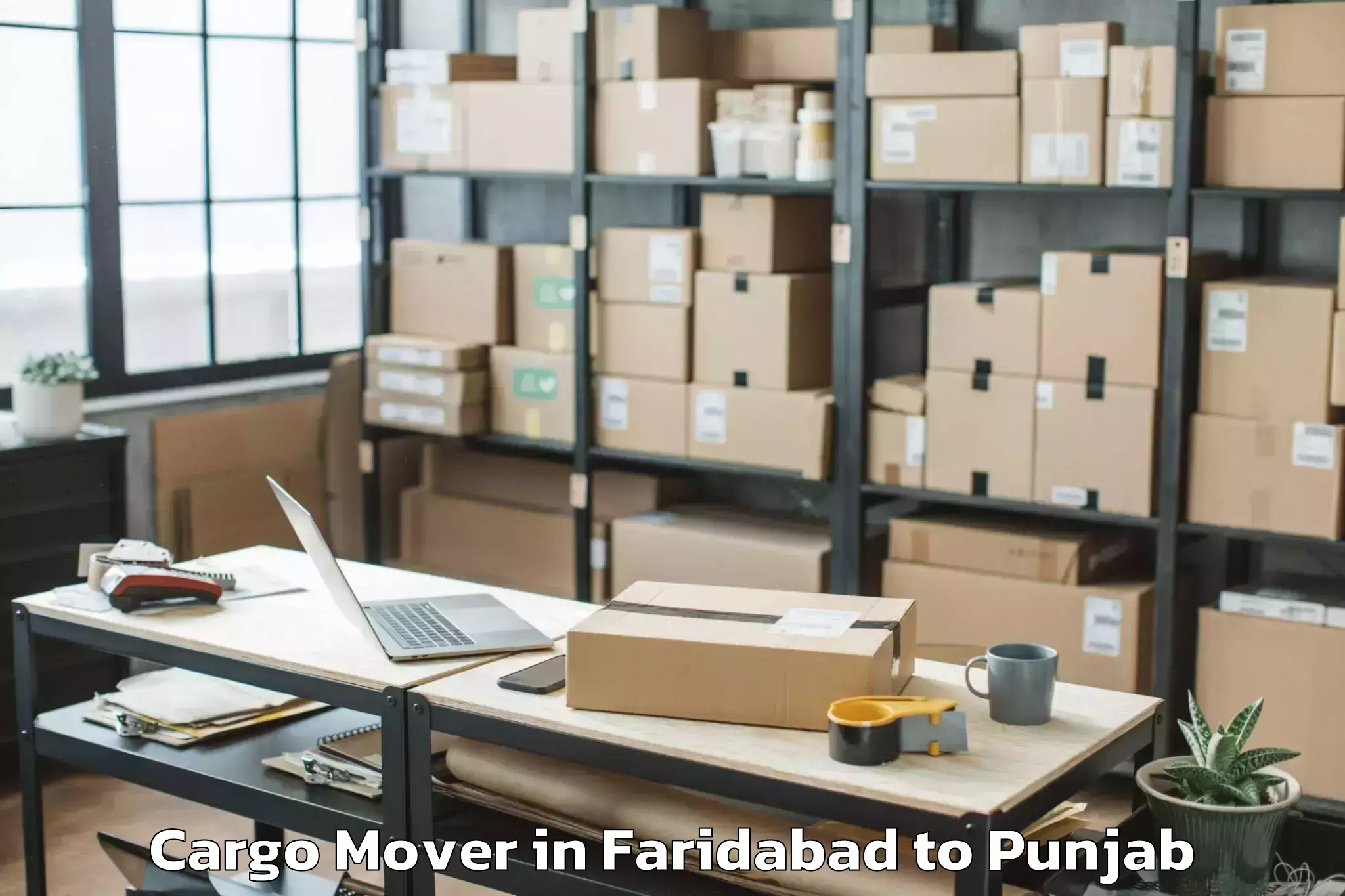 Professional Faridabad to Faridkot Cargo Mover